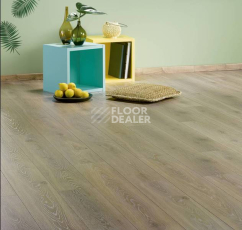 Alsafloor Osmoze ДУБ ТАЗА 420 фото 2 | FLOORDEALER